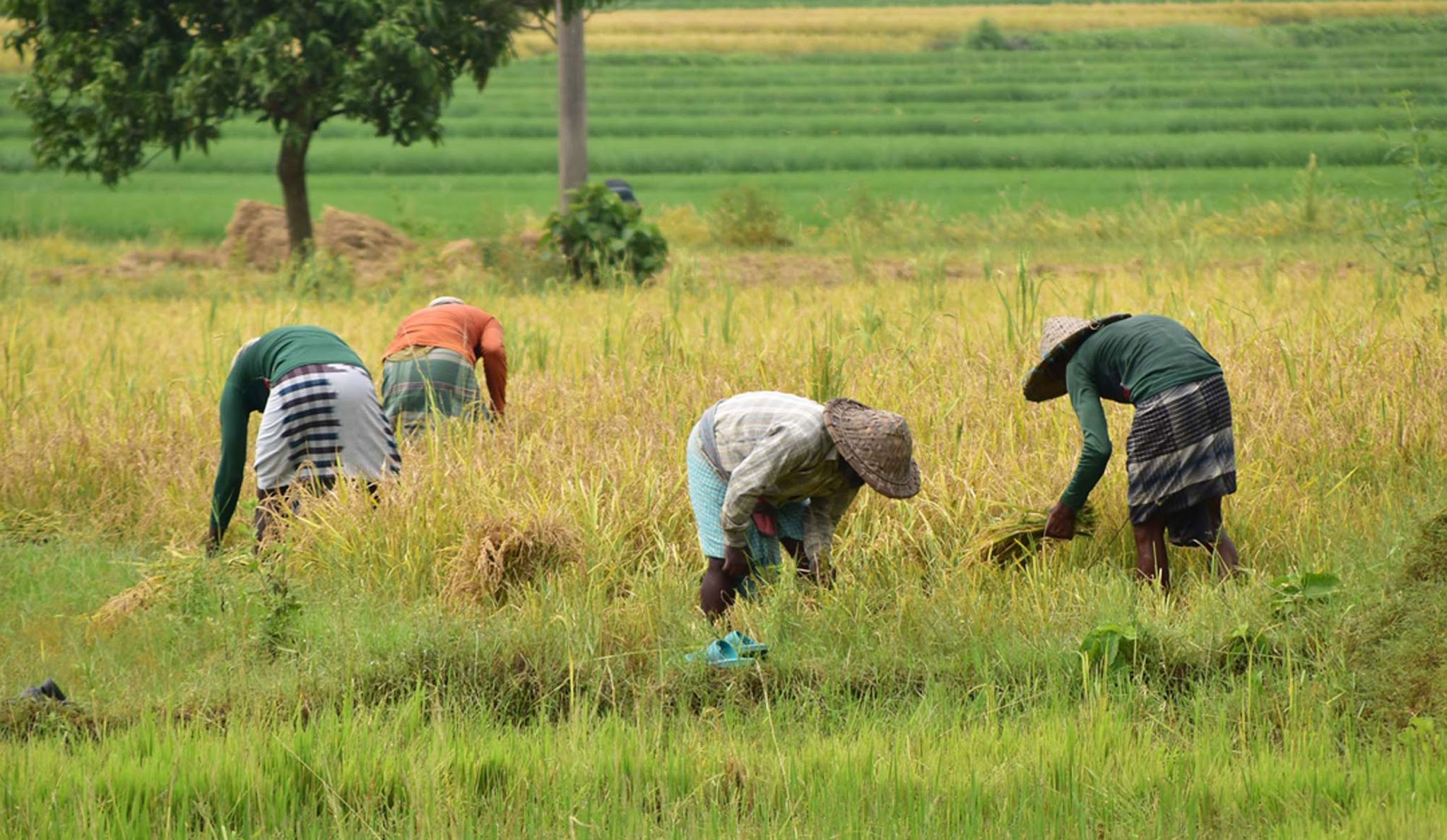 Kadis ESDM Jatim Jadi Tersangka Pungli Perizinan Tambang, Kejati Sita Rp2,36 Miliar